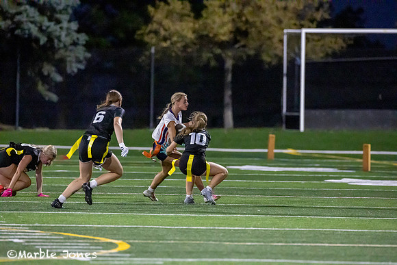 _MEJ7370